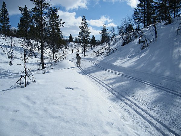 latua