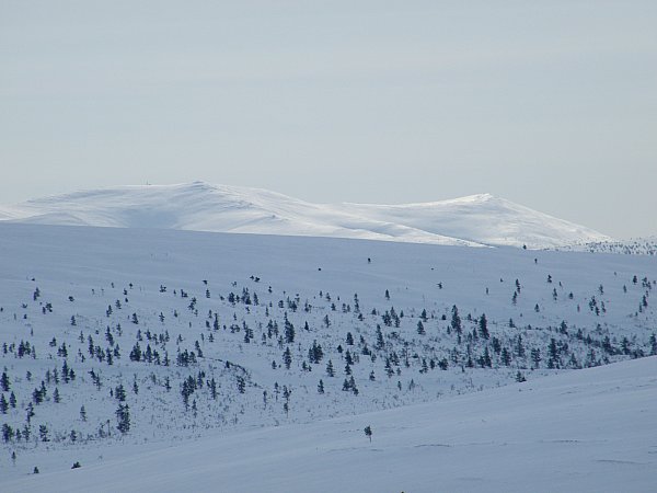 Sokosti kaukana