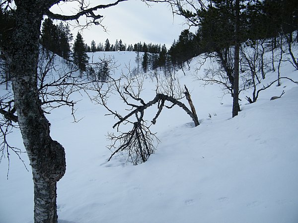 Pessinlampi talvella