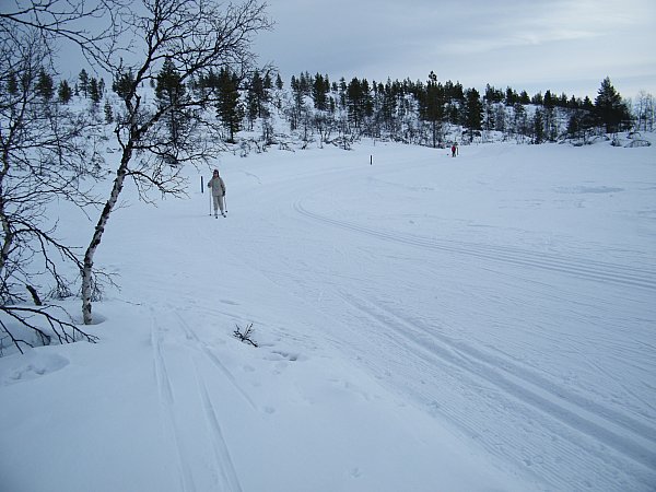 latua