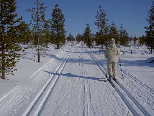 Latua riittää