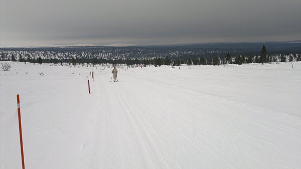 Nousua Ahopäälle