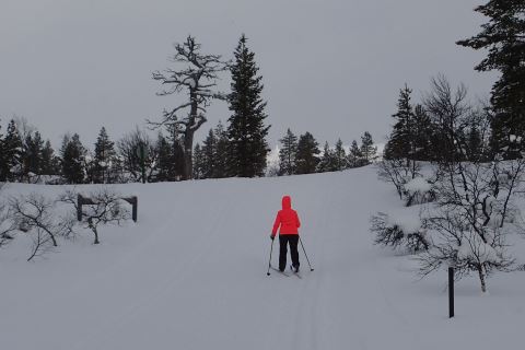 Latukuva