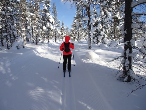 Latukuva