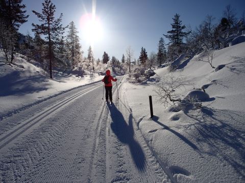 latukuva