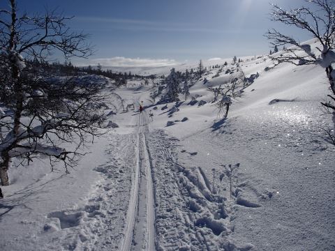kelkkalatua