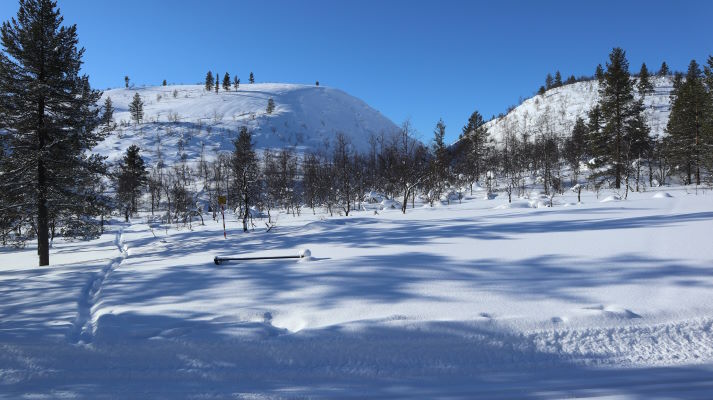 Rumakuru