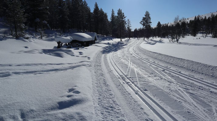 Vanhan kämpän luona