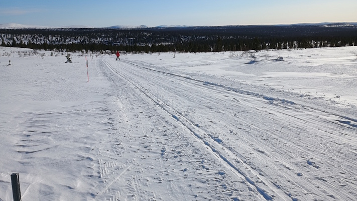 Ahopään latua