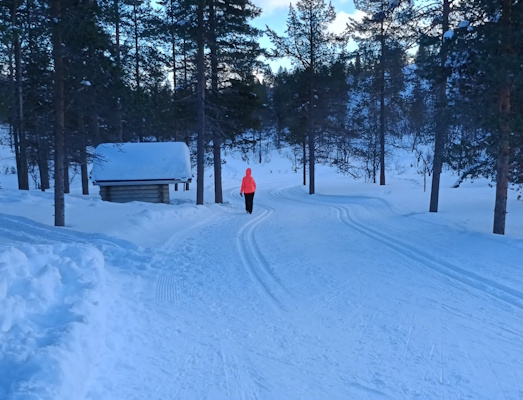 Latua rumakurussa