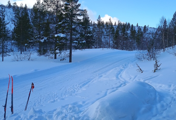 rumakurulle