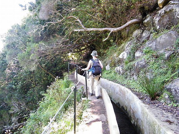 Madeira, Levada, Ribeiro Frio