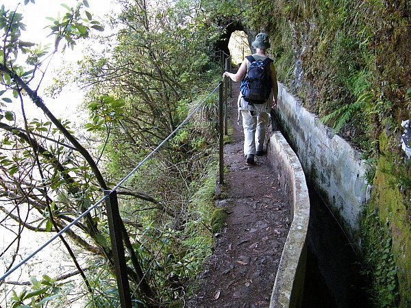 Madeira, levada Ribeiro Frio