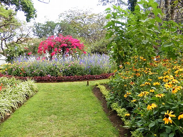 Funchal, puisto