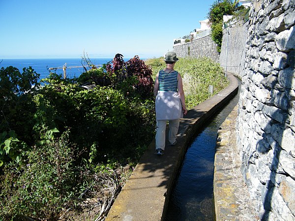 Funchal, kaupunkilevada