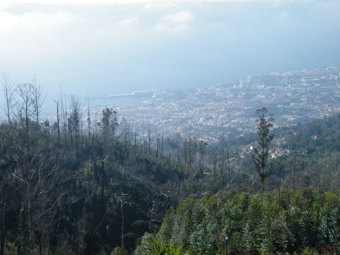 nkym Funchaliin