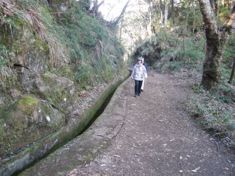 Levada Balcoes
