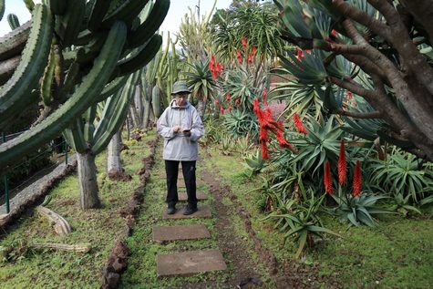 Madeira Botanical Garden