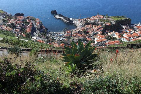 Camara de Lobos