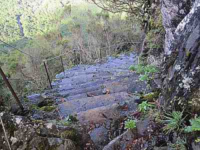Portaita polulla