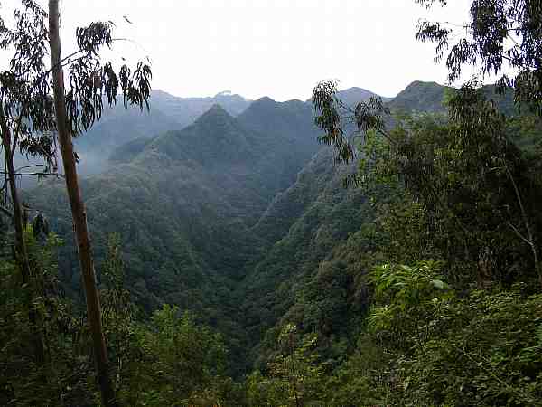 levada do Rei