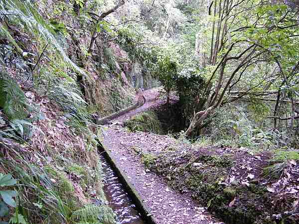 levada do Rei