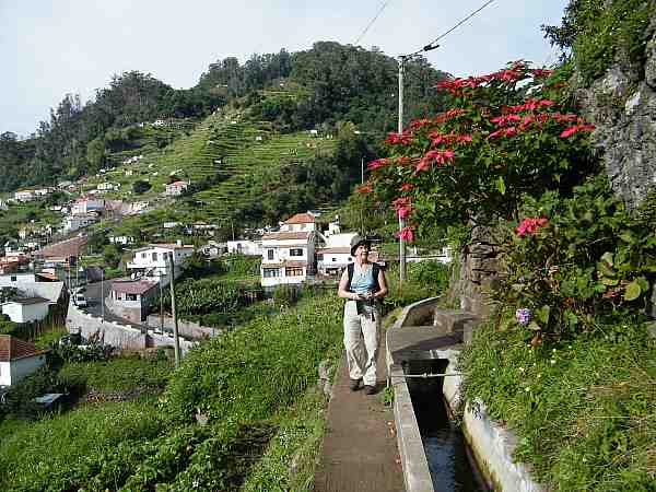 levada do canical