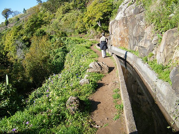 Levada da Norte