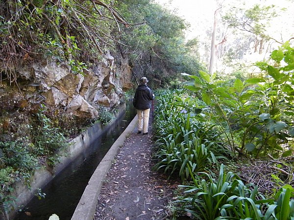 Madeira, levada dos Tornos