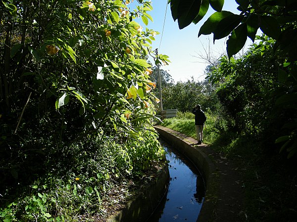 Madeira, levada dos Tornos