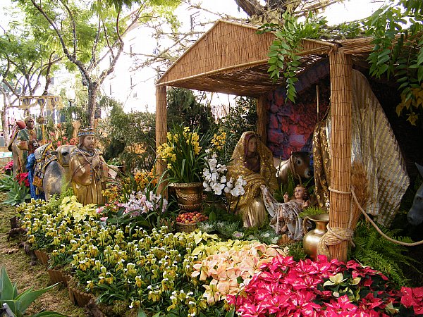 Funchal, jouluseimi