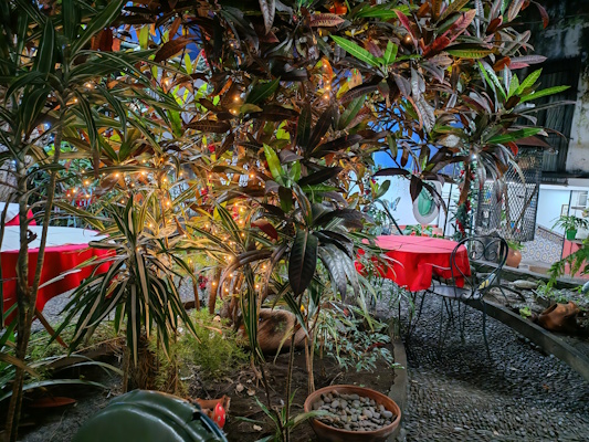 Puutarharavintolasta