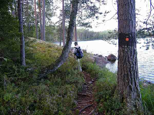 järveä