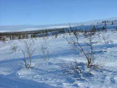 DSCF1507.jpg - 12342 Bytes