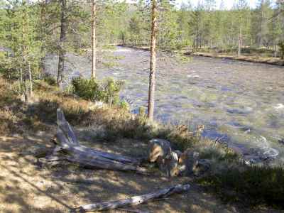 Anterijoki
