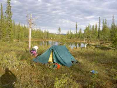 Kärppäjärvi