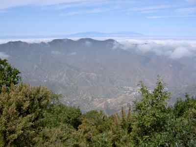 Cran Canaria Comeralta ksin - 10528 Bytes