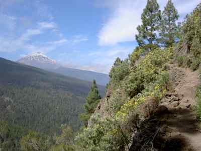 Teide  ja polku - 12180 Bytes
