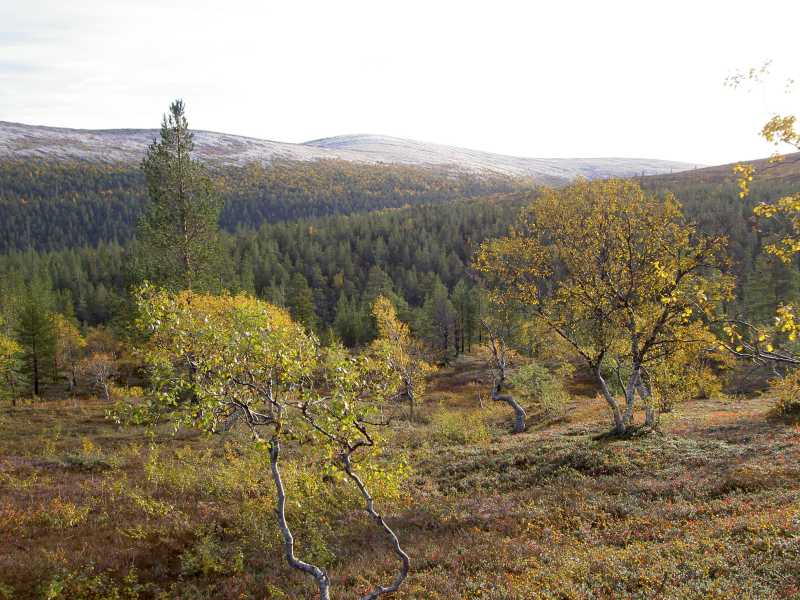 Matkalla Paratiisikuruun