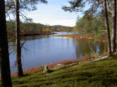 Suomujoki