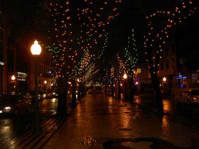 PICT3081.JPG - 14471 Bytes