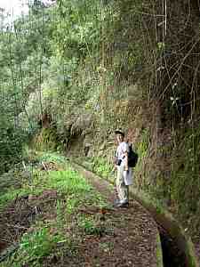 levada