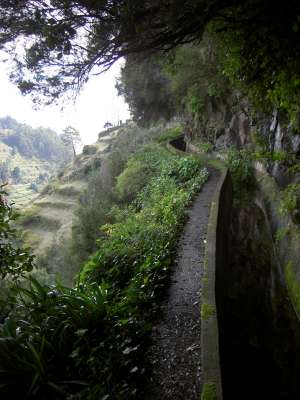 Levada dos Tornos
