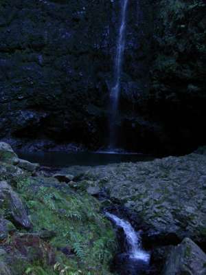 Galdera Verde
