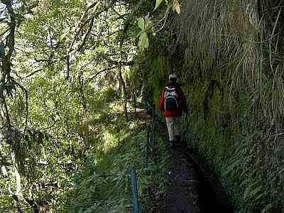 Levada