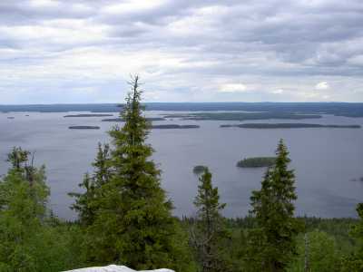Pielinen