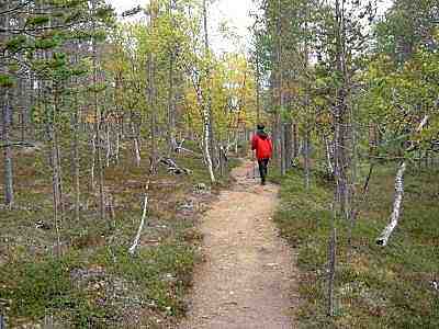 polku