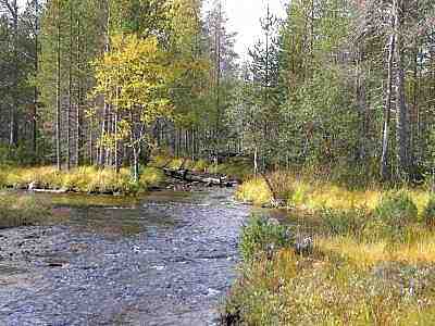 Vellinsrpim