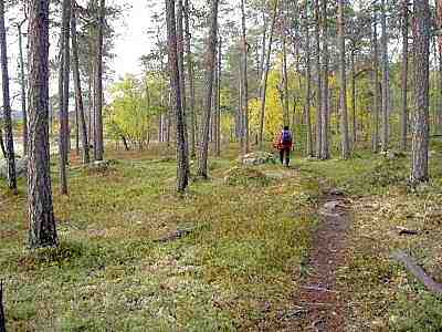 Juutuanjoen rantaa