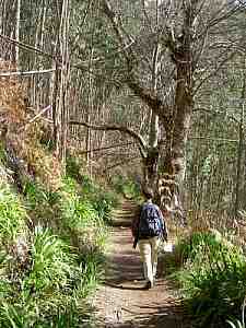 levada da Serra